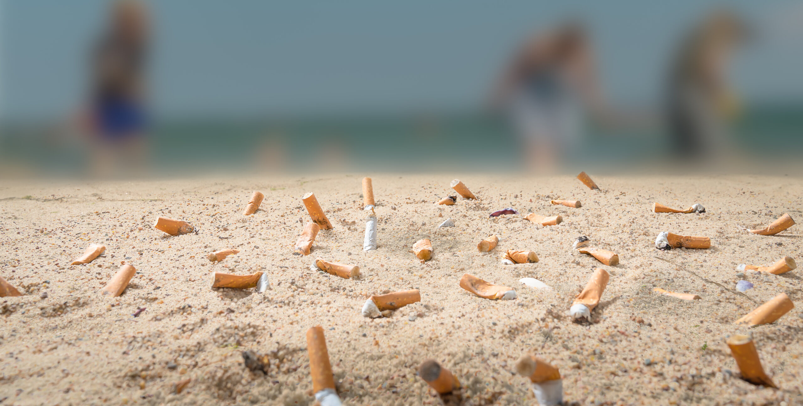 elfbar nachfüll pod läuft aus Quelle est la durée de vie des déchets dans la nature ?
