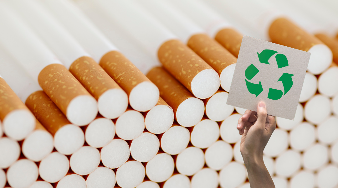 Les filtres de cigarettes biodgradables sont-ils bons pour l'environnement  ?
