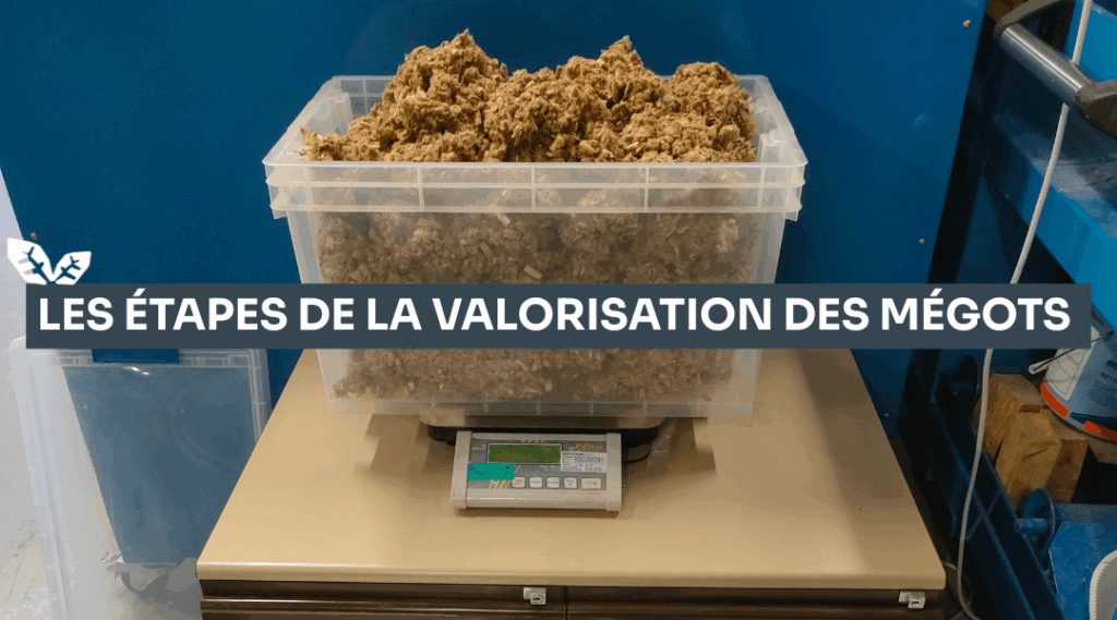les etape de la valorisation des megot