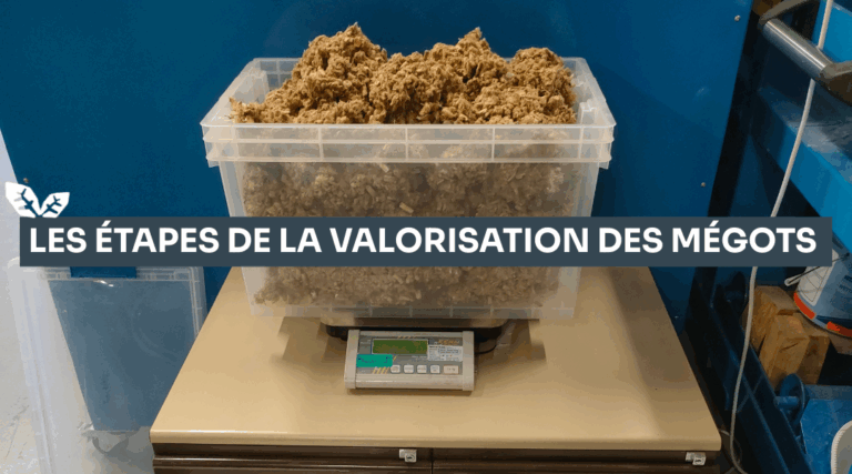 les etape de la valorisation des megot